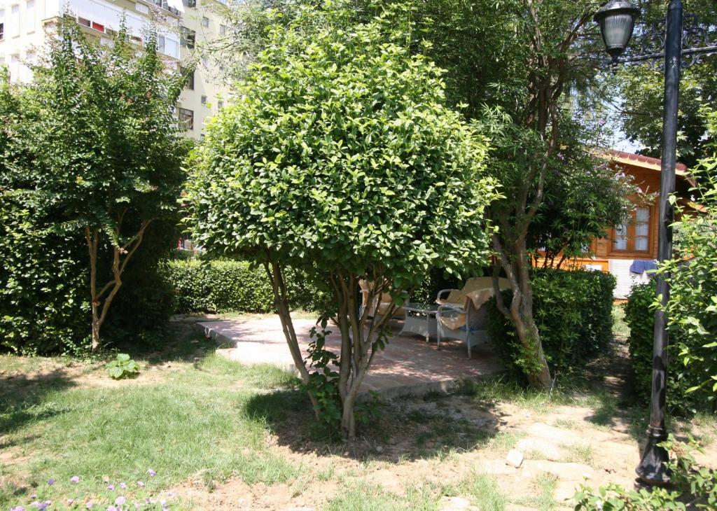 Sevkibey Hotel Alanya Ngoại thất bức ảnh